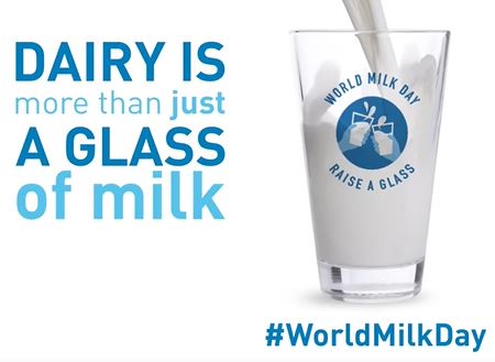 World Milk Day Nutrition Video