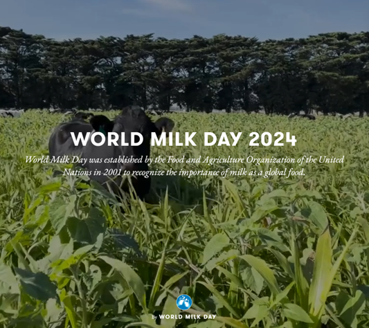 World Milk Day 2024 - Final Report