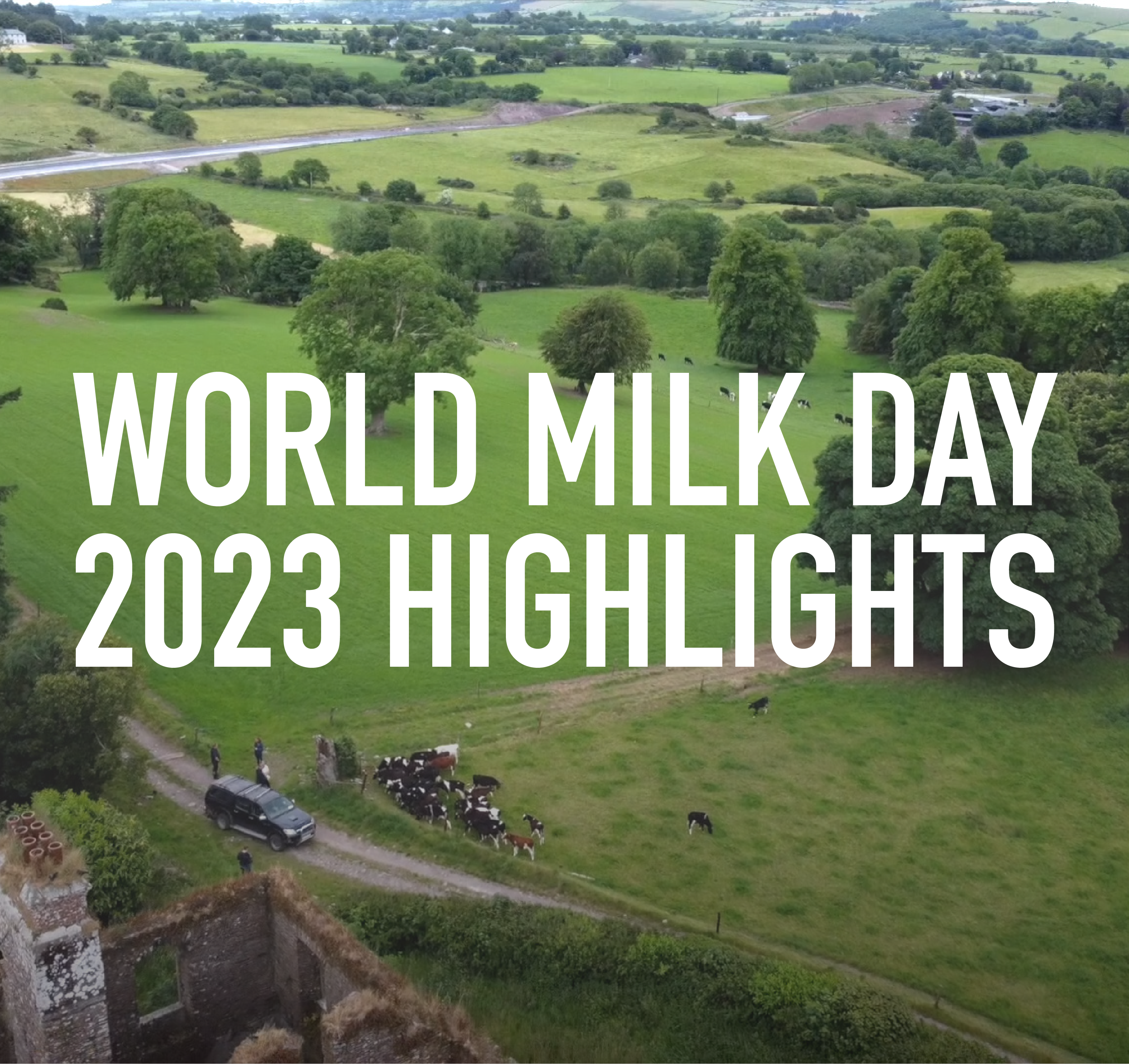World Milk Day 2023 - Final Report