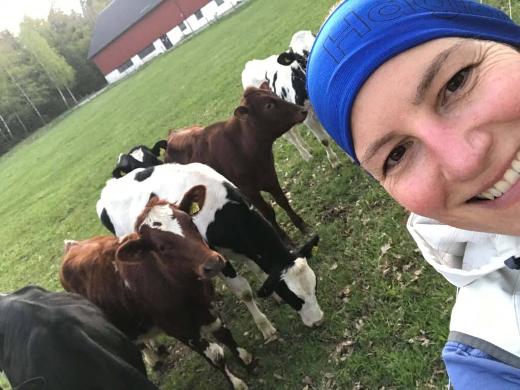 Dairy Farmer and Two Cows