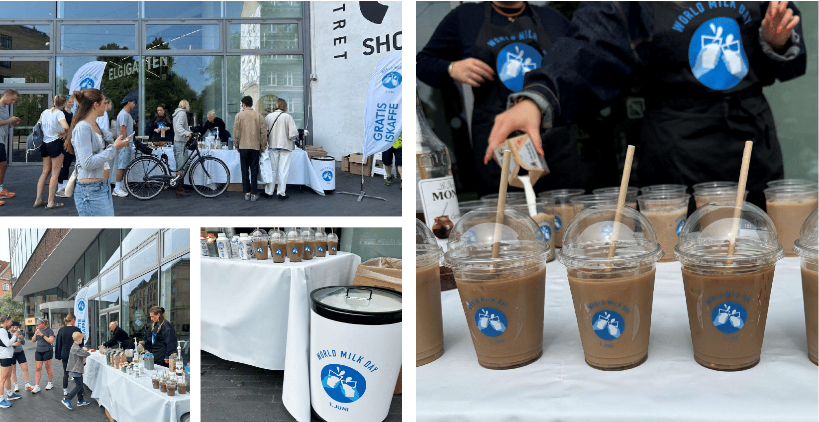 World Milk Day in Denmark